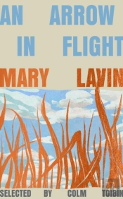 An Arrow In Flight