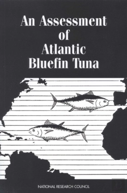 Bertrand.pt - An Assessment Of Atlantic Bluefin Tuna