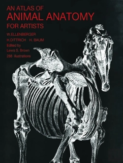 Bertrand.pt - An Atlas Of Animal Anatomy For Artists