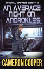An Average Night On Androkles