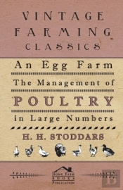 An Egg Farm - The Management Of Poultry In Large Numbers