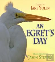 An Egret'S Day