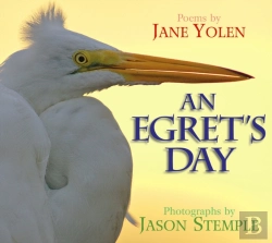 Bertrand.pt - An Egret'S Day
