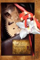 An Emporium Of Automata