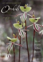 An Enthusiasm For Orchids