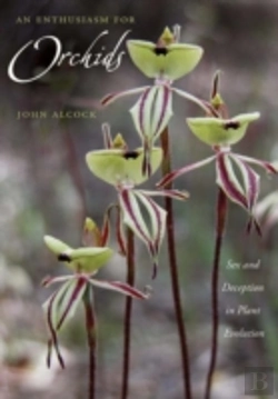 Bertrand.pt - An Enthusiasm For Orchids