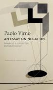 An Essay On Negation