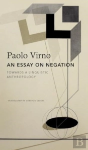 An Essay On Negation