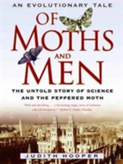 Bertrand.pt - An Evolutionary Tale Of Moths And Men