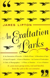 An Exaltation Of Larks