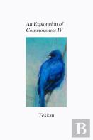 An Exploration Of Consciousness Iv