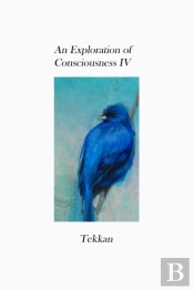 An Exploration Of Consciousness Iv