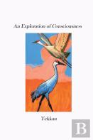 An Exploration Of Consciousness V