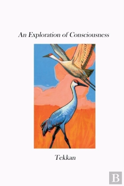Bertrand.pt - An Exploration Of Consciousness V