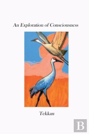 An Exploration Of Consciousness V