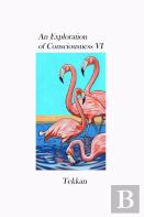 An Exploration Of Consciousness Vi