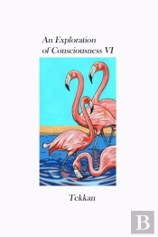 An Exploration Of Consciousness Vi