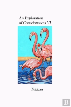 Bertrand.pt - An Exploration Of Consciousness Vi