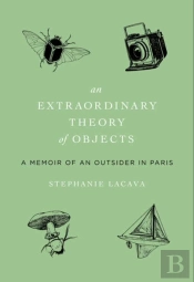 An Extraordinary Theory Of Objects