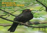 An Identification Guide To Birds Of Britain And Northern Europe (2nd Edition)