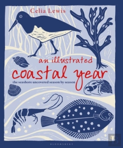 Bertrand.pt - An Illustrated Coastal Year