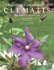 An Illustrated Encyclopedia Of Clematis