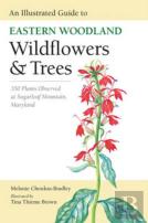 An Illustrated Guide To Eastern Woodland Wildflowers And Trees