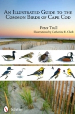 Bertrand.pt - An Illustrated Guide To The Common Birds Of Cape Cod