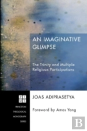 An Imaginative Glimpse: The Trinity And Multiple Religious Participations