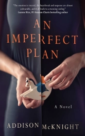 An Imperfect Plan
