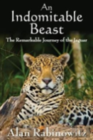An Indomitable Beast