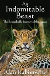 An Indomitable Beast