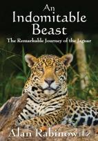 An Indomitable Beast
