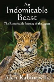 An Indomitable Beast