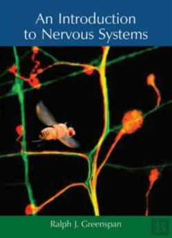 Bertrand.pt - An Introduction To Nervous Systems