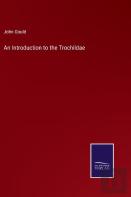 An Introduction To The Trochildae