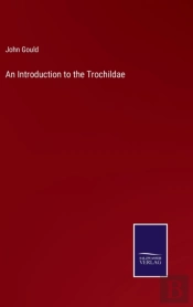 An Introduction To The Trochildae