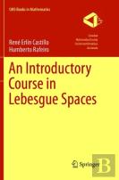 An Introductory Course In Lebesgue Spaces