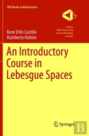 An Introductory Course In Lebesgue Spaces