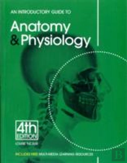 Bertrand.pt - An Introductory Guide To Anatomy & Physiology