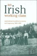 An Irish Working Class