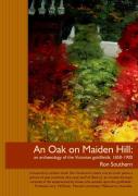 An Oak On Maiden Hill