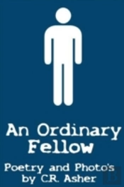 An Ordinary Fellow