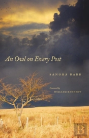 An Owl On Every Post