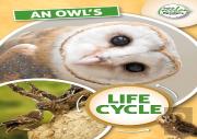 An Owl'S Life Cycle