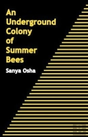 An Underground Colony Of Summer Bees