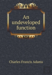 An Undeveloped Function