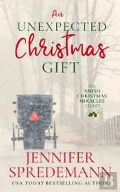 An Unexpected Christmas Gift: An Amish C