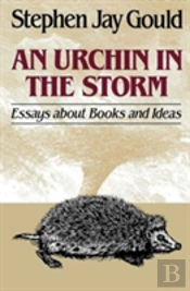 An Urchin In The Storm