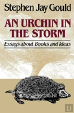 Bertrand.pt - An Urchin In The Storm